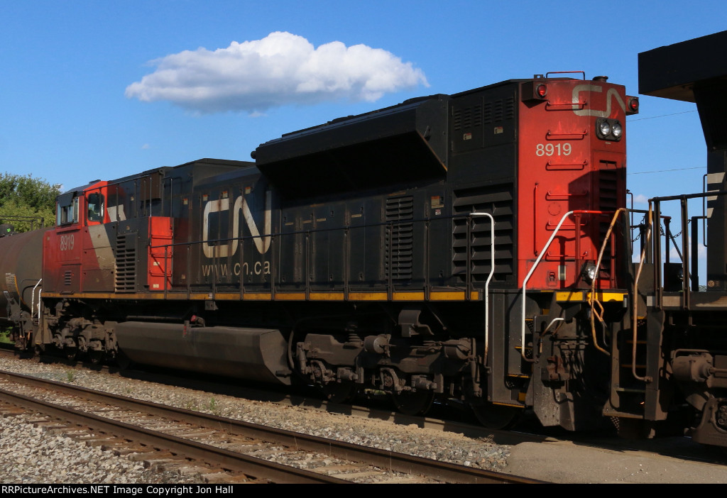 CN 8919